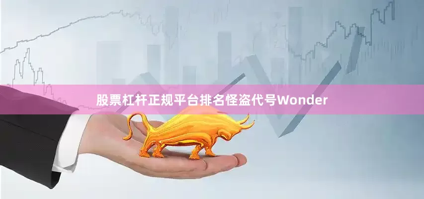 股票杠杆正规平台排名怪盗代号Wonder