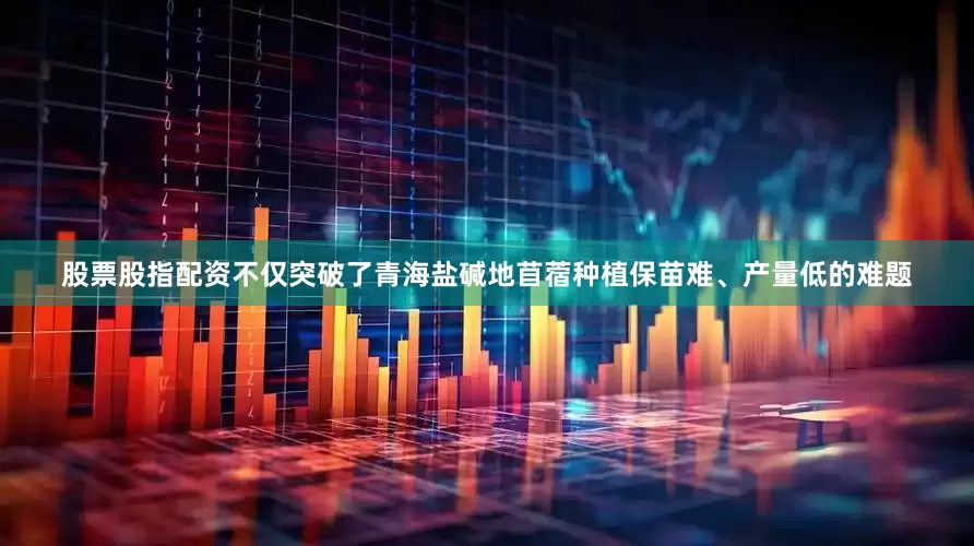 股票股指配资不仅突破了青海盐碱地苜蓿种植保苗难、产量低的难题