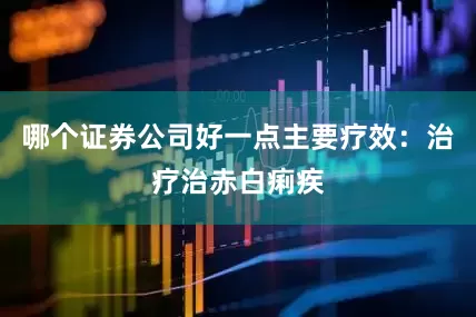 哪个证券公司好一点主要疗效：治疗治赤白痢疾