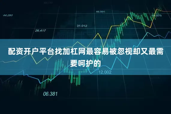 配资开户平台找加杠网最容易被忽视却又最需要呵护的